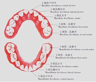 mg冰球突破豪华版试玩(中国)官方网站